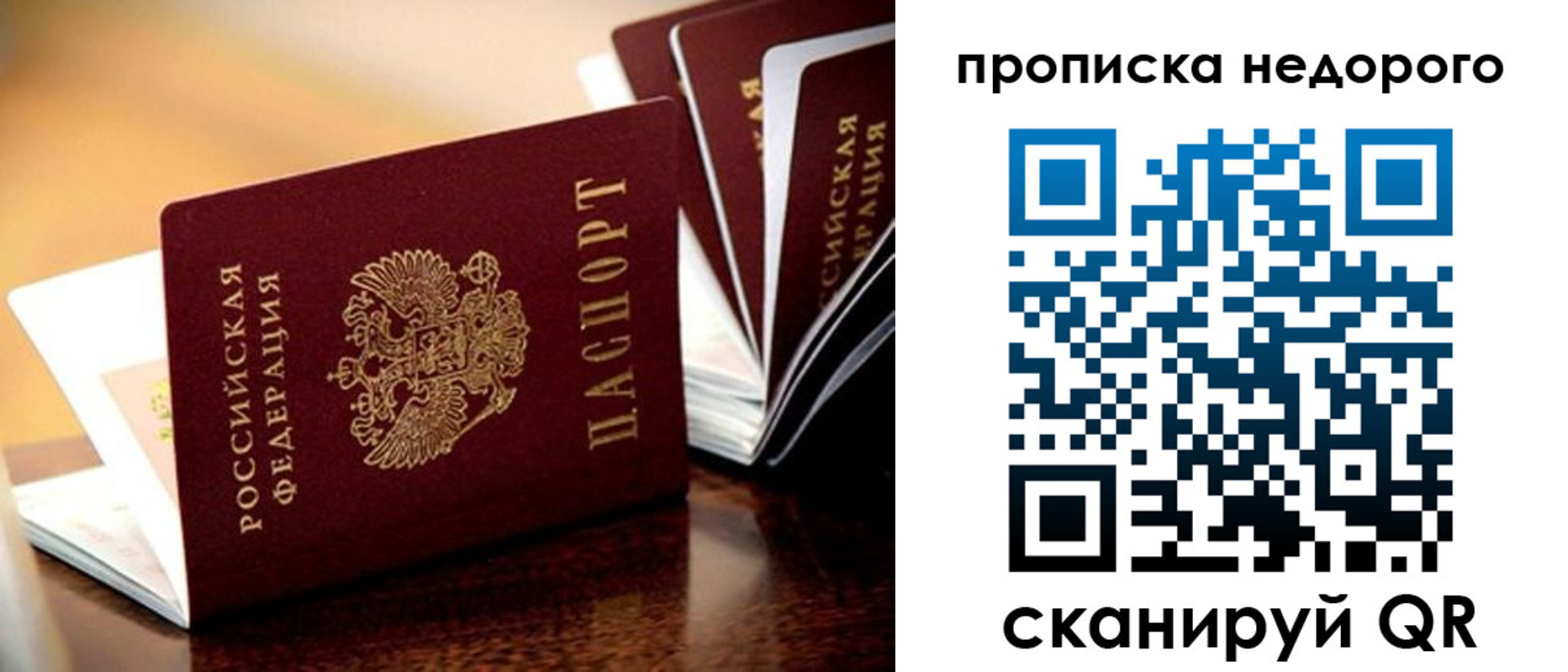 временная регистрация поиск в Сертолово